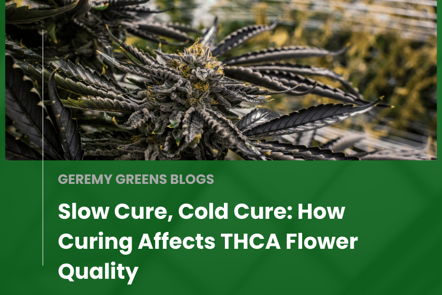 Close-up of a high-quality THCA cannabis flower with deep purple hues, carefully grown and cured, showcasing trichome preservation in a craft cultivation setting.