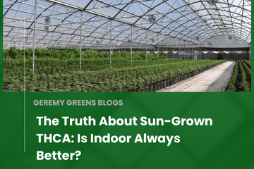 THCA flower growing in a greenhouse under natural sunlight, with blog title overlay reading: ‘The Truth About Sun-Grown THCA: Is Indoor Always Better?
