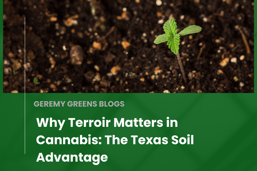Cannabis seedling sprouting in rich Texas soil with green overlay text reading “Why Terroir Matters in Cannabis: The Texas Soil Advantage – Geremy Greens Blogs.”