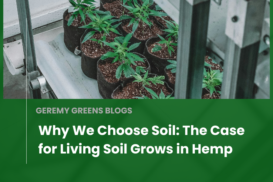 Why We Choose Soil: The Case for Living Soil Grows in Hemp