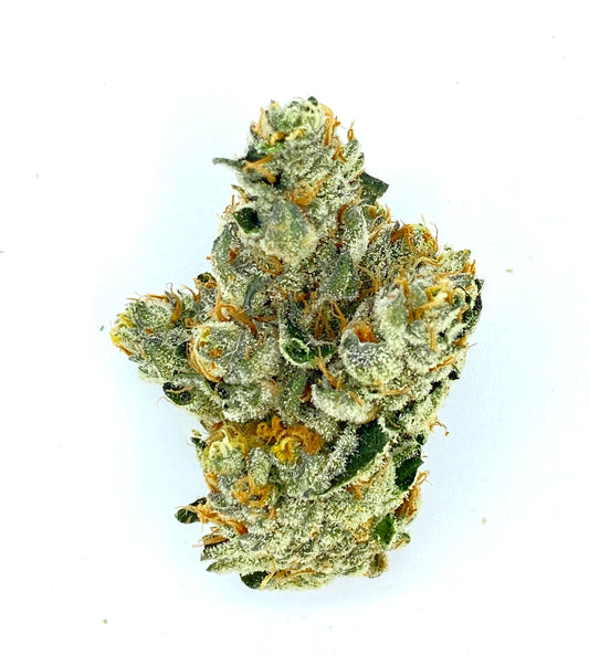 Pis de guepardo (flor de THCA)