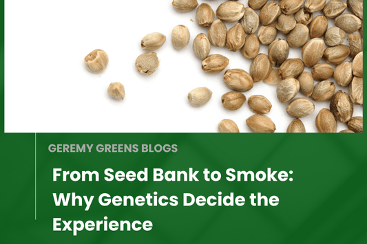 From Seed Bank to Smoke: Why Genetics Decide the Experience