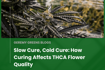 Close-up of a high-quality THCA cannabis flower with deep purple hues, carefully grown and cured, showcasing trichome preservation in a craft cultivation setting.