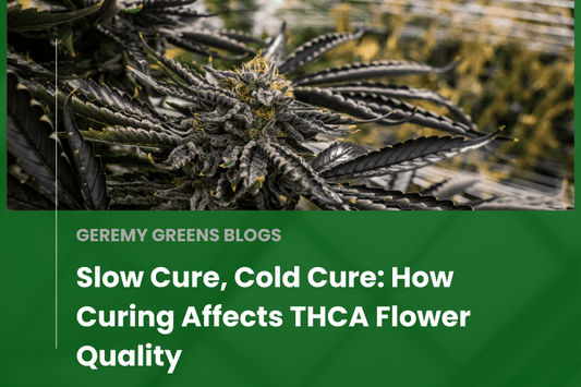 Close-up of a high-quality THCA cannabis flower with deep purple hues, carefully grown and cured, showcasing trichome preservation in a craft cultivation setting.