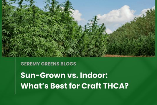 A lush outdoor cannabis farm with tall, healthy hemp plants growing under natural sunlight, illustrating the comparison between sun-grown and indoor THCA cultivation.