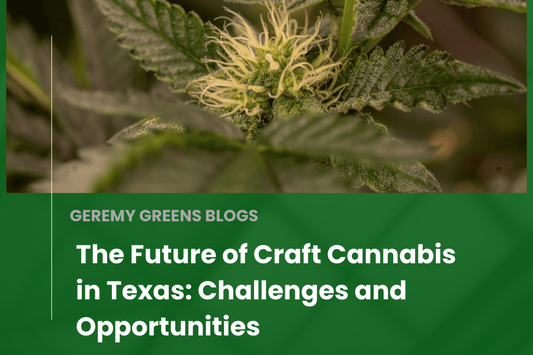 Close-up of a cannabis plant in flower stage, used as a blog cover image for “The Future of Craft Cannabis in Texas: Challenges and Opportunities” by Geremy Greens Blogs.