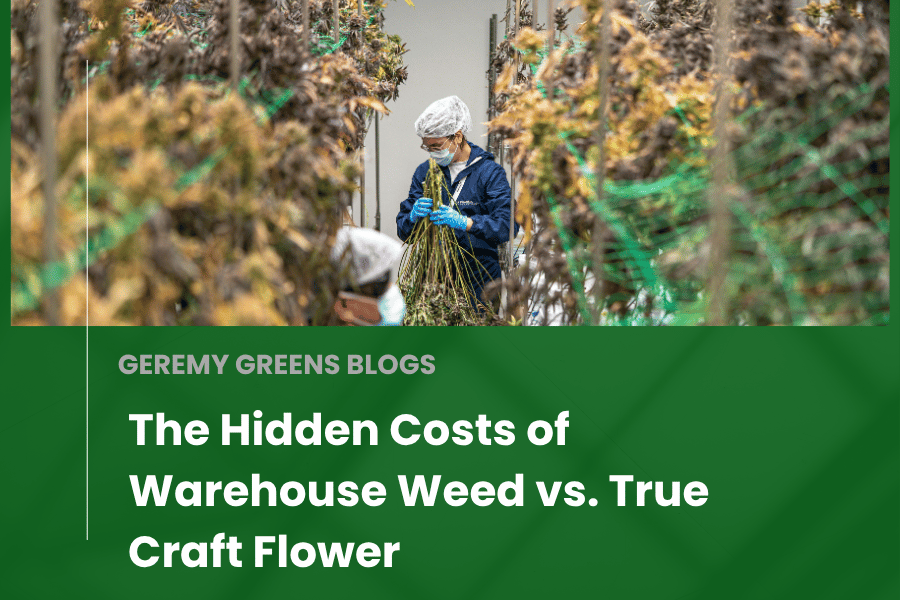 The Hidden Costs of Warehouse Weed vs. True Craft Flower