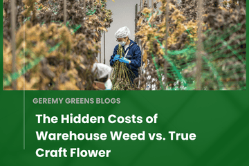 The Hidden Costs of Warehouse Weed vs. True Craft Flower