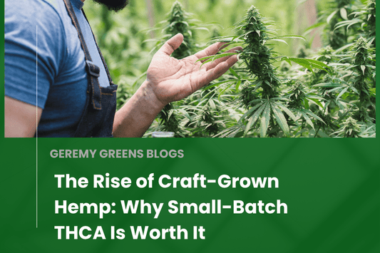 Farmer examining mature hemp plants in a green field, representing the hands-on care behind craft-grown, small-batch THCA flower — with blog title overlay: “The Rise of Craft-Grown Hemp: Why Small-Batch THCA Is Worth It.”