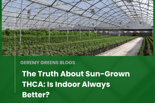 THCA flower growing in a greenhouse under natural sunlight, with blog title overlay reading: ‘The Truth About Sun-Grown THCA: Is Indoor Always Better?