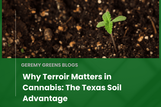 Cannabis seedling sprouting in rich Texas soil with green overlay text reading “Why Terroir Matters in Cannabis: The Texas Soil Advantage – Geremy Greens Blogs.”