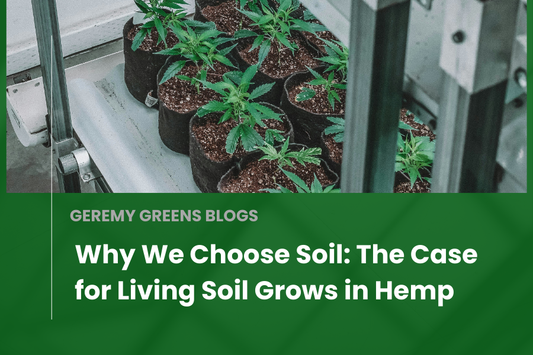 Why We Choose Soil: The Case for Living Soil Grows in Hemp