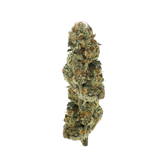 Raunchy Runtz (28%) THCA Flower