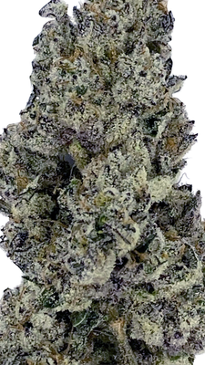 Aloha Sugar (28%) THCa Flower