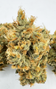 Flor de galletas de fresa (31,9 %) THCA