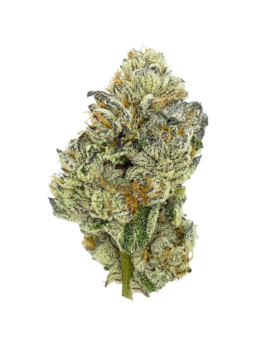 Koolato (flor de THCA)