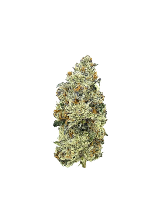 Koolato (flor de THCA)