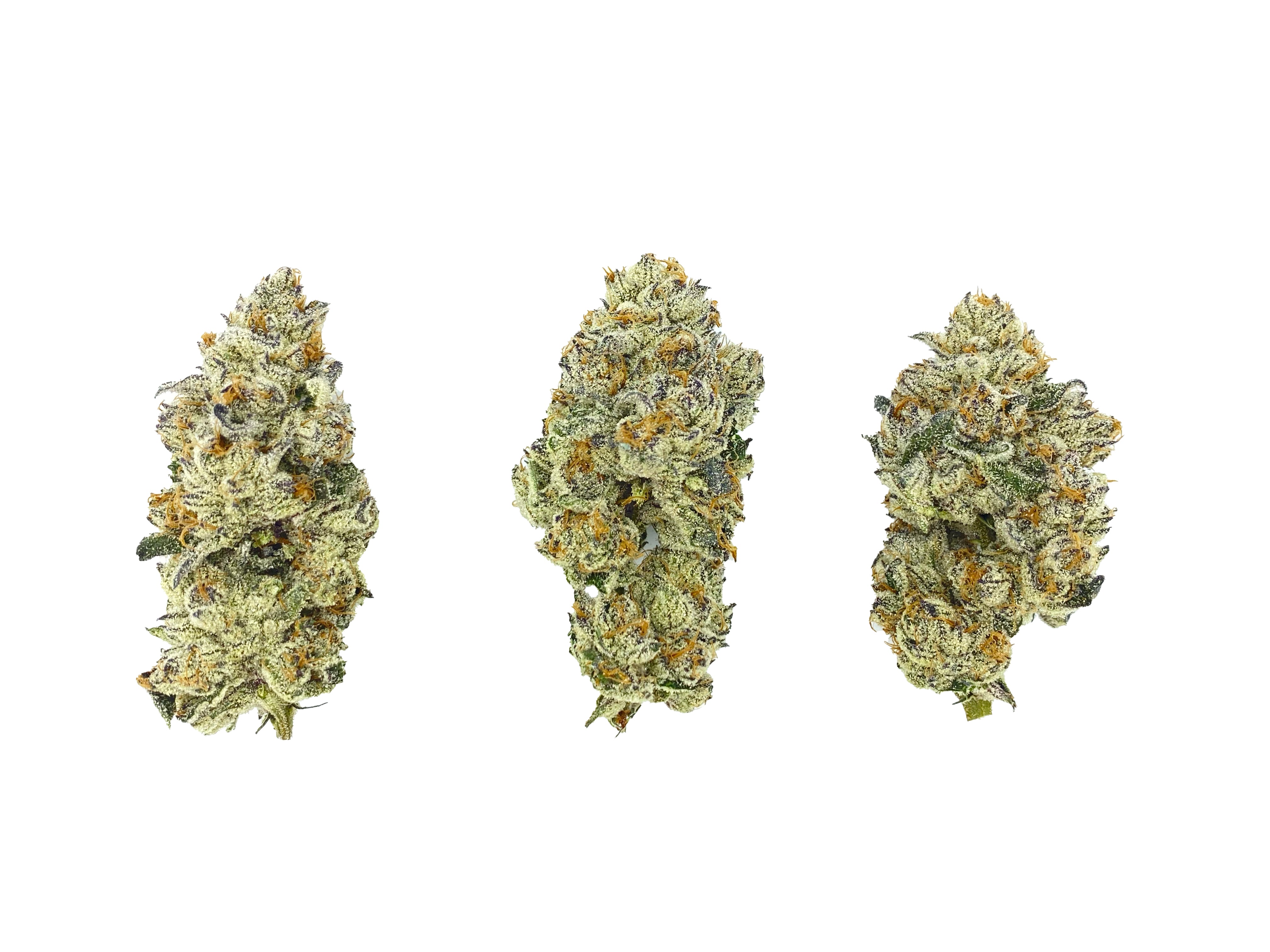 Koolato (flor de THCA)