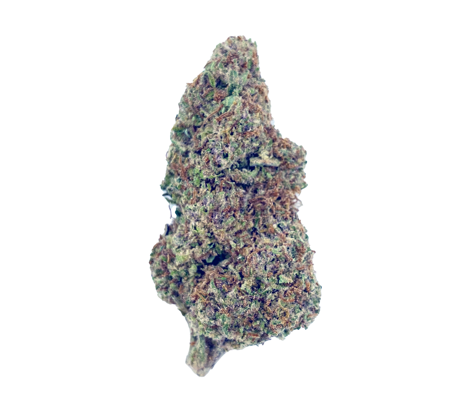 Blue Dream (32.29%) THCa Flower