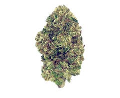 Cereal Milk (26%) THCa Flower