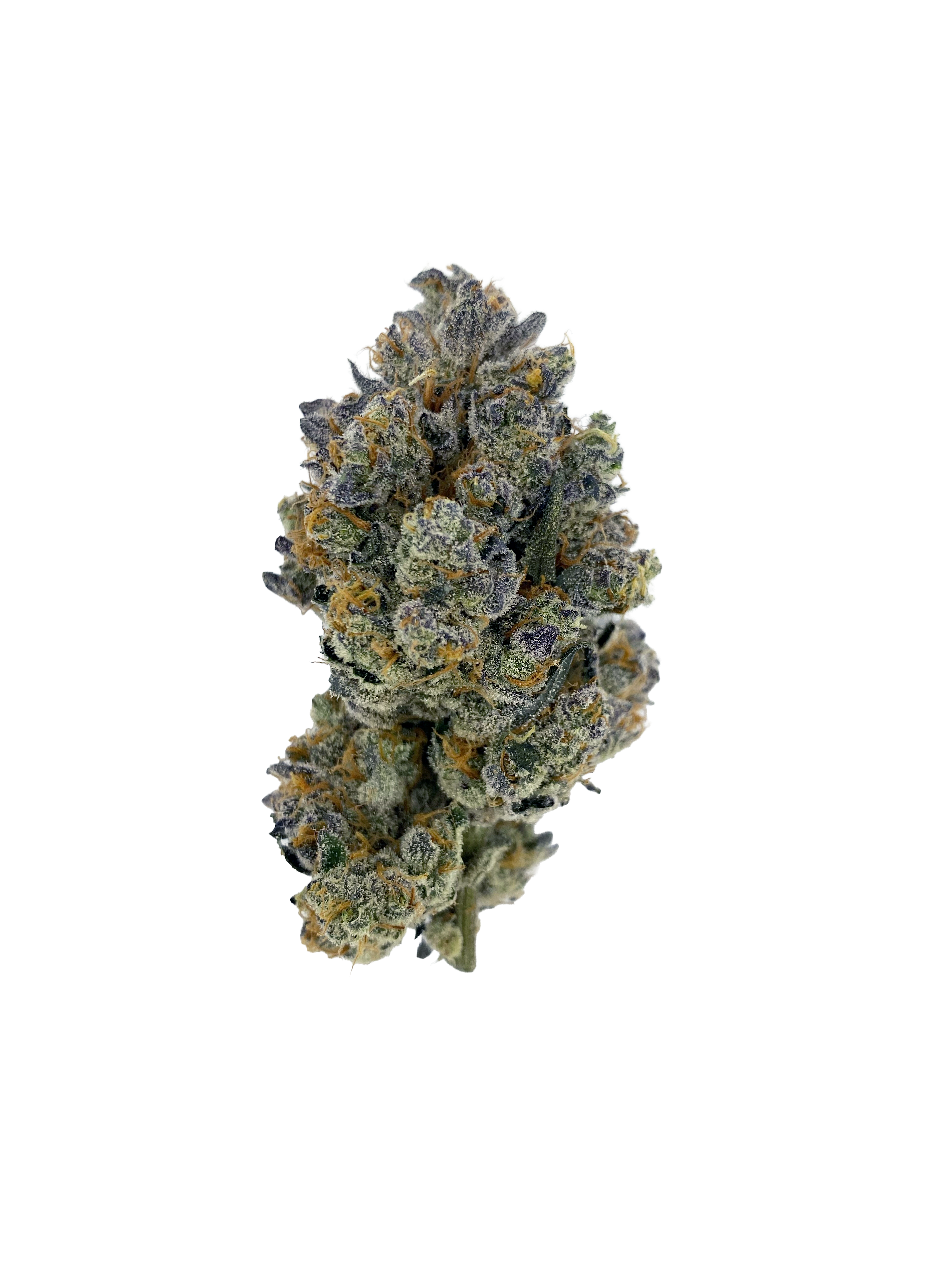 Cheetah Piss (20%) THCA Flower