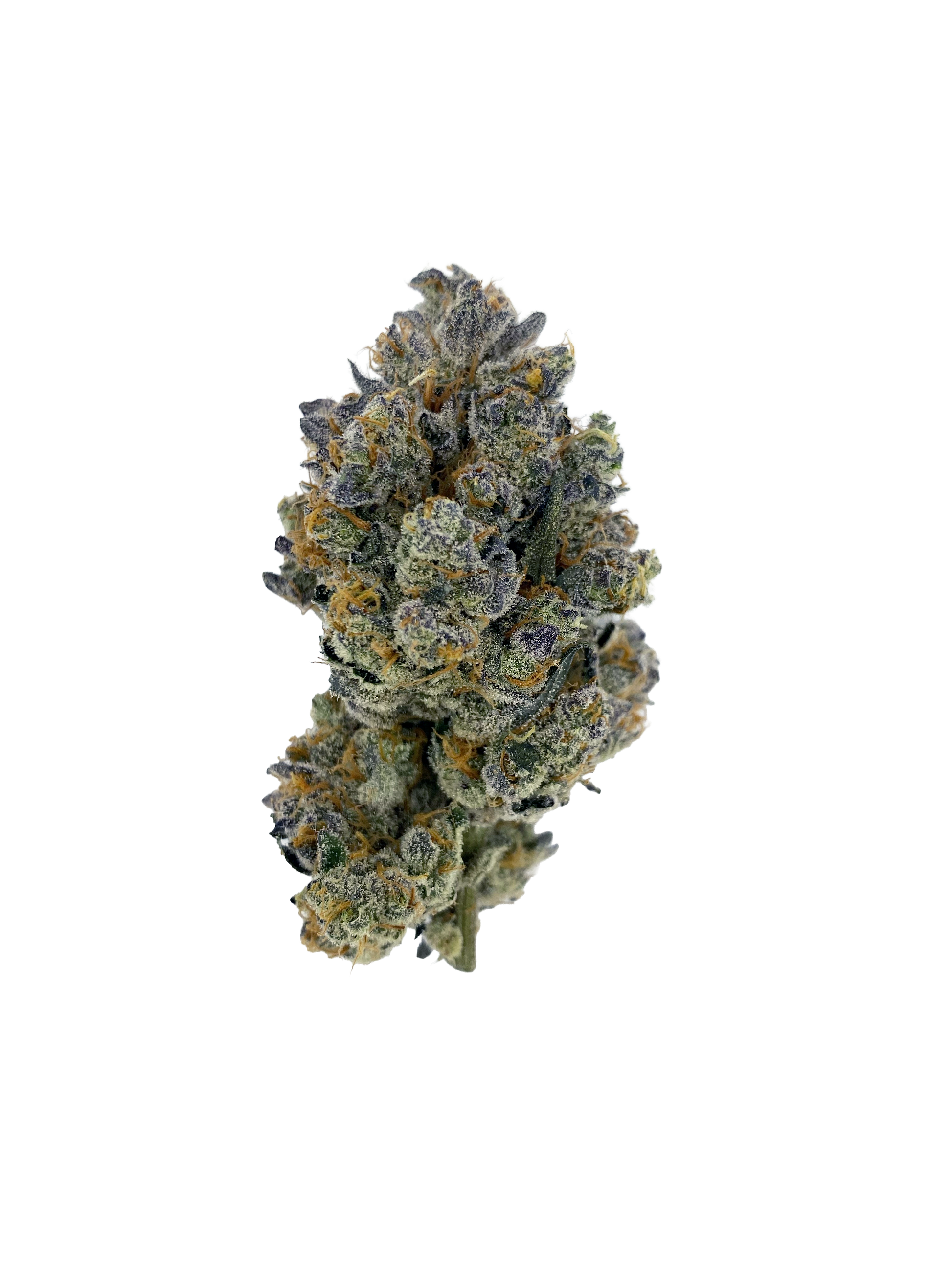 Cheetah Piss (20%) THCA Flower