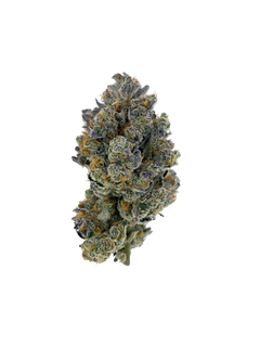 Cheetah Piss (20%) THCA Flower