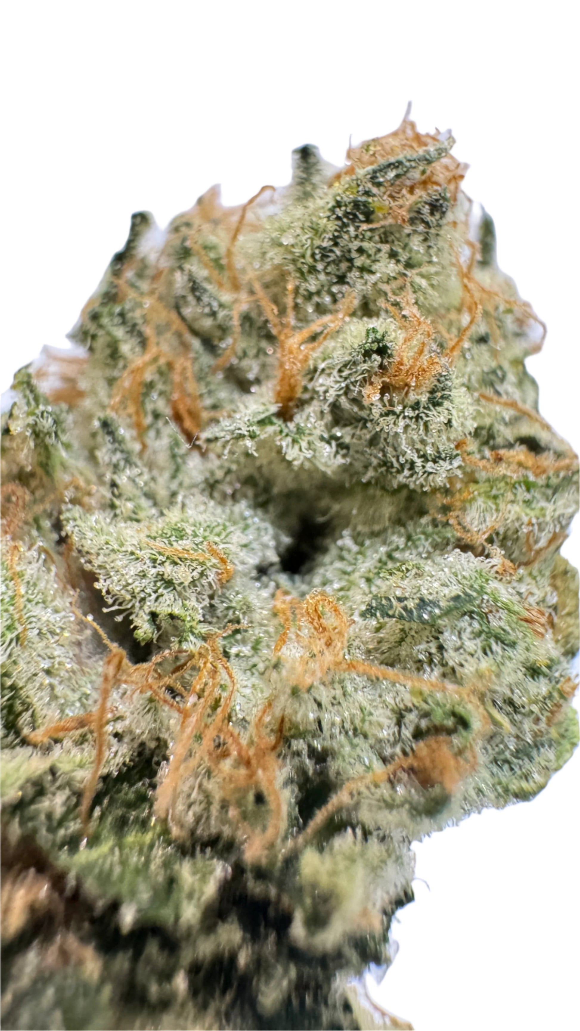 Flor de Ackbar OG (17,6%) THCA