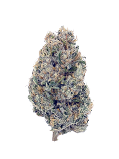 Zweet Inzanity (21%) THCa Flower