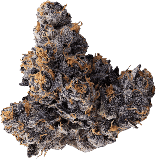 Jealousy (26.25%) THCA Flower
