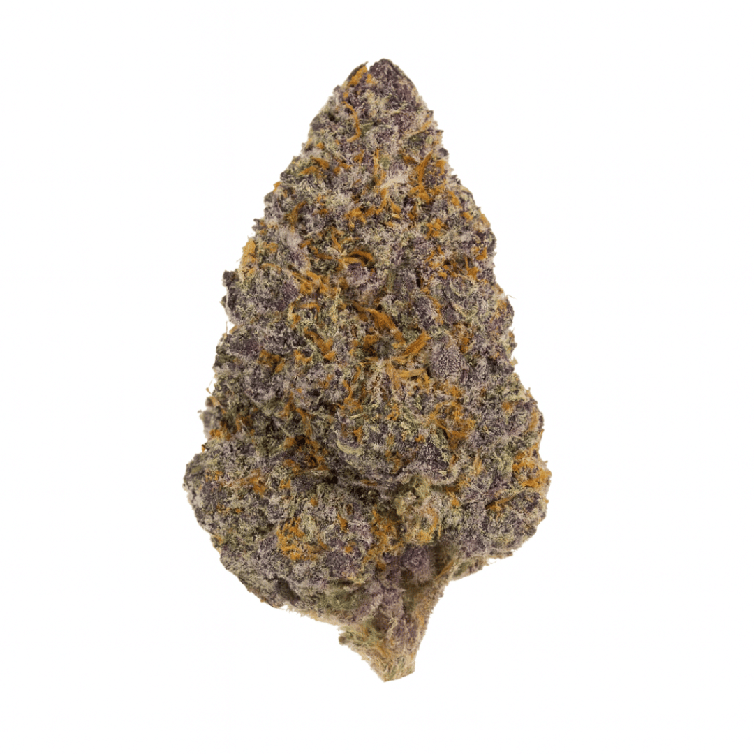 Close-up of a cannabis bud on a white background