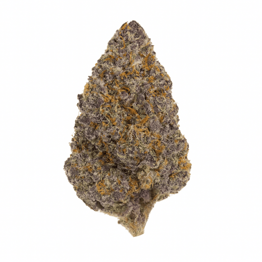 Close-up of a cannabis bud on a white background
