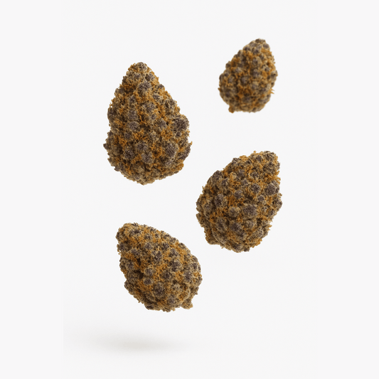 Four cannabis buds on a white background