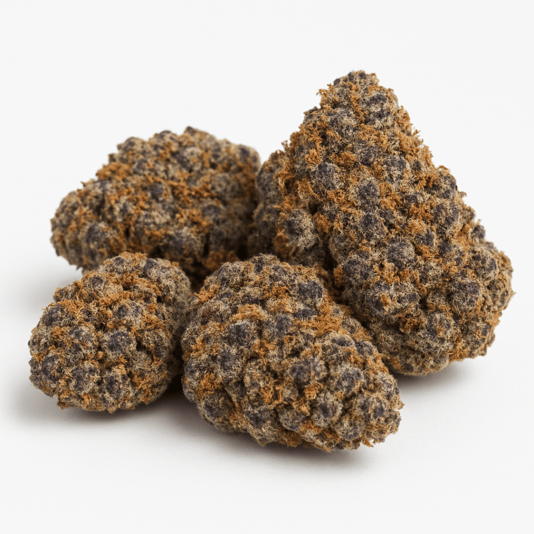 Close-up of dried cannabis buds on a white background