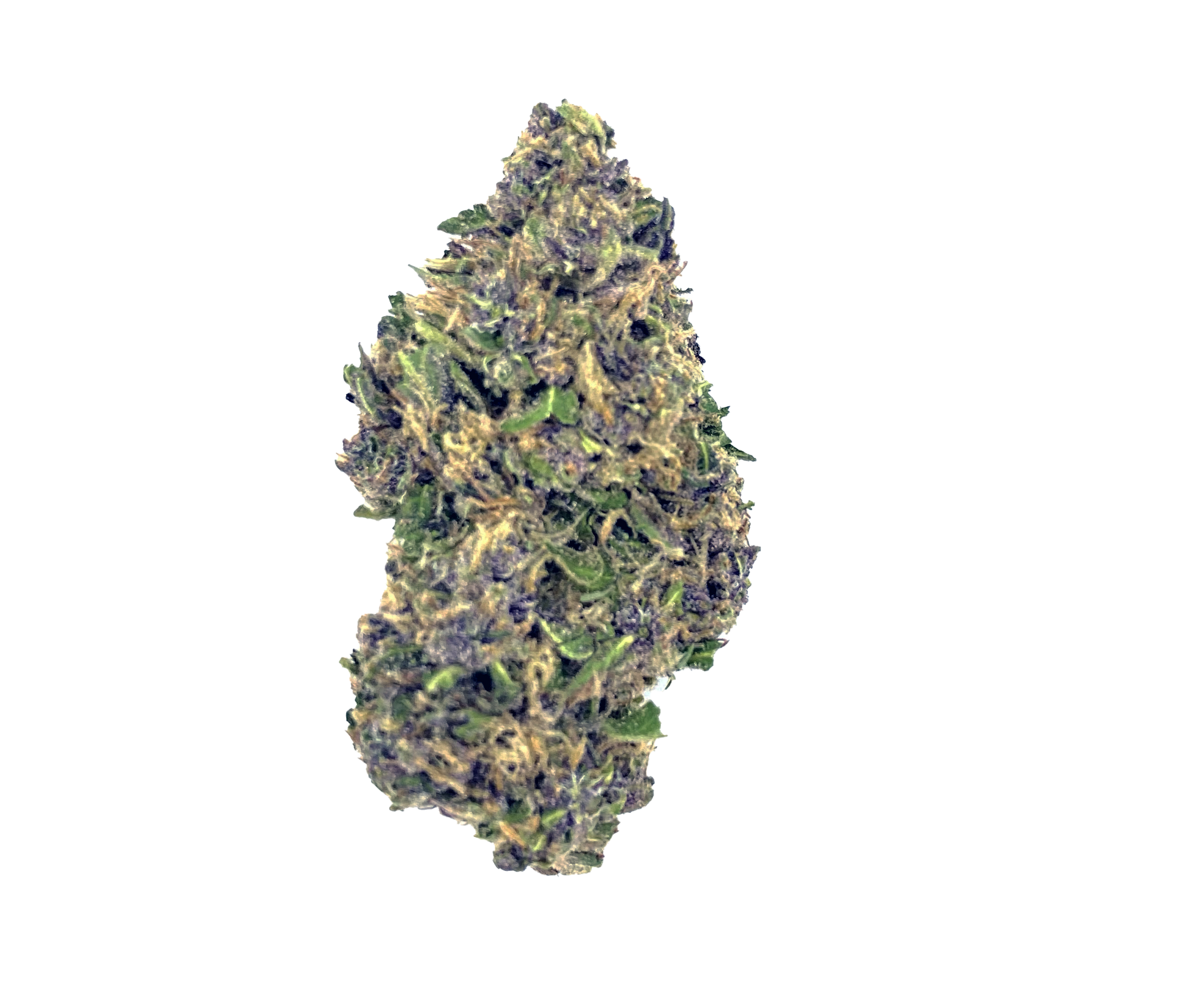 Purple GMO (26%) THCa Flower