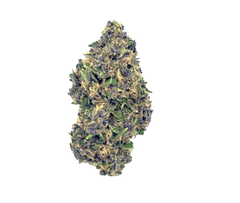 Purple GMO (26%) THCa Flower