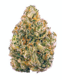 Sin Mintz (26%) THCa Flower