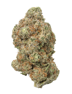 Hippie Crippler (26.2%) THCa Flower