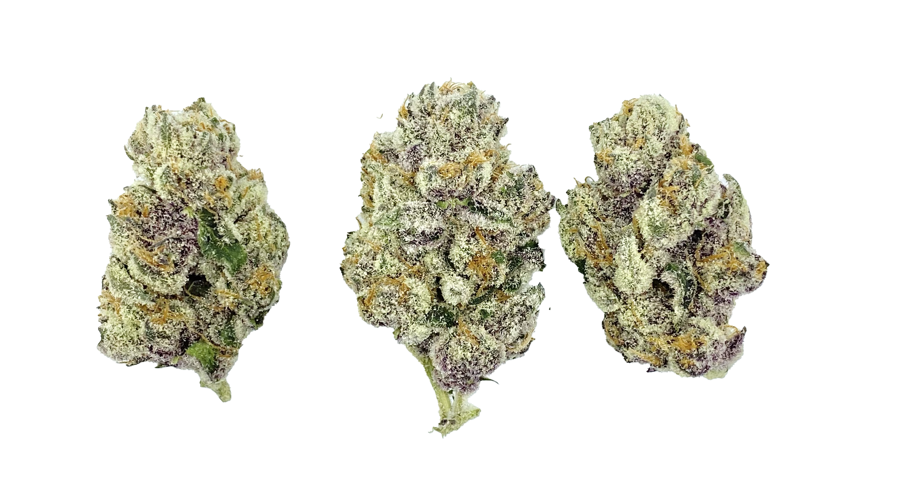 Tropicana Cherry (20%) THCa Flower