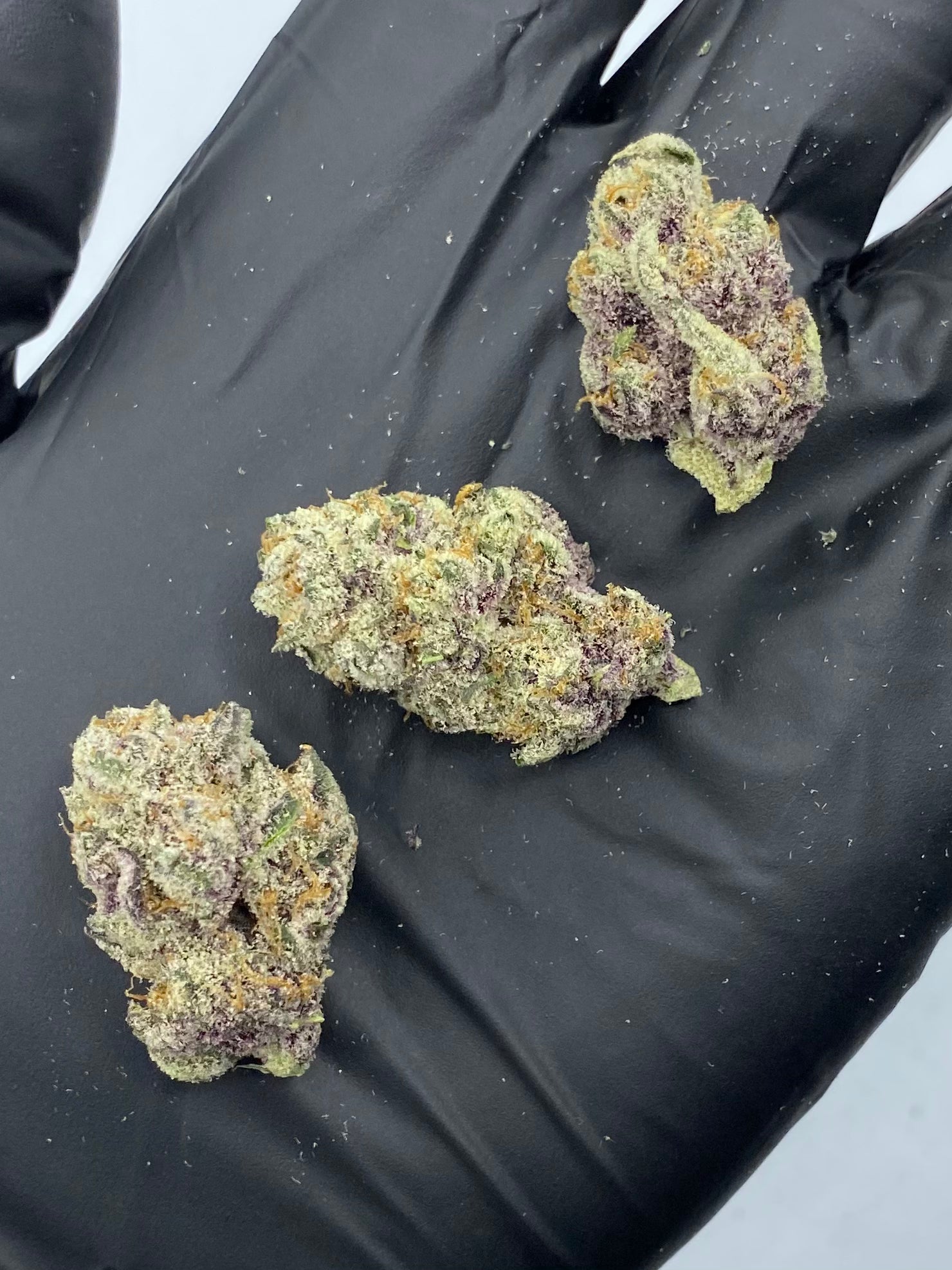 Tropicana Cherry (20%) THCa Flower