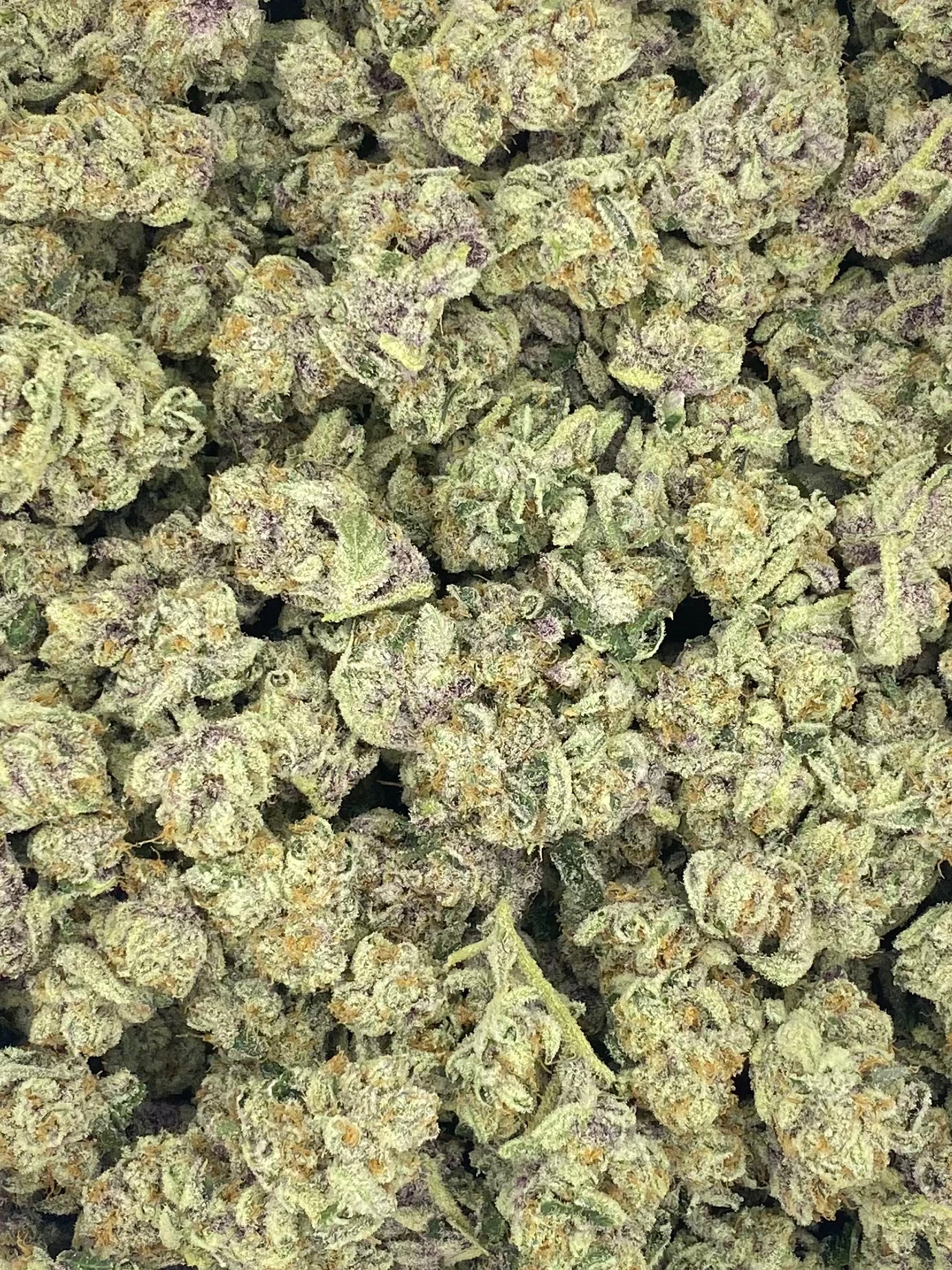 Tropicana Cherry (20%) THCa Flower