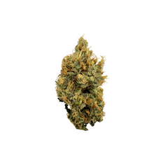 Flor de galletas de fresa (31,9 %) THCA
