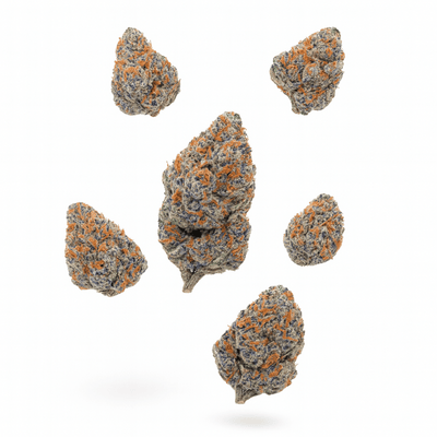 Beach Crasher (20.53%) THCA Flower