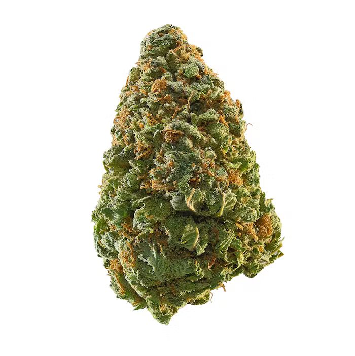 Zerbert (33.74%) THCA Flower