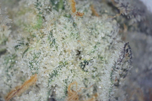 Gorilla Glue #4 (21%) THCa Flower