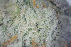 Combustible para aviones (flor de THCA)