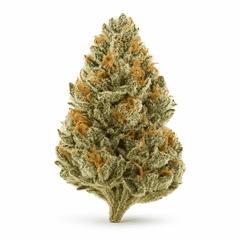 White Fire (28.3%)